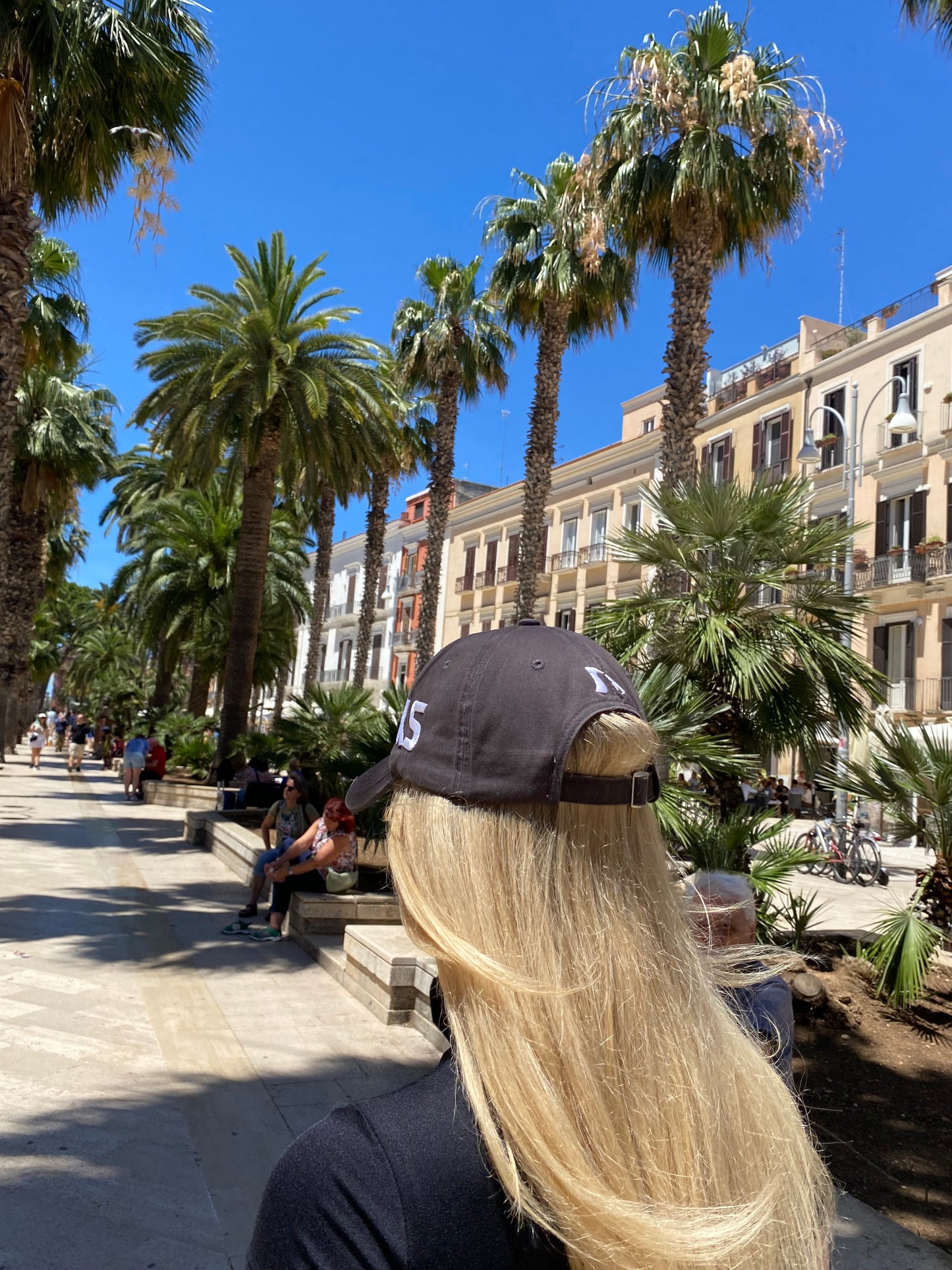 DARK SHARK’S BITE CAP
